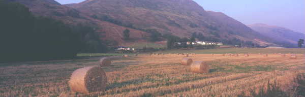 The Ochil Hills near the village of Menstrie in Clackmannanshire. Connections with the Bruces & the Erskines.